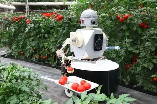 观点交锋,院士专家论道农业机器人